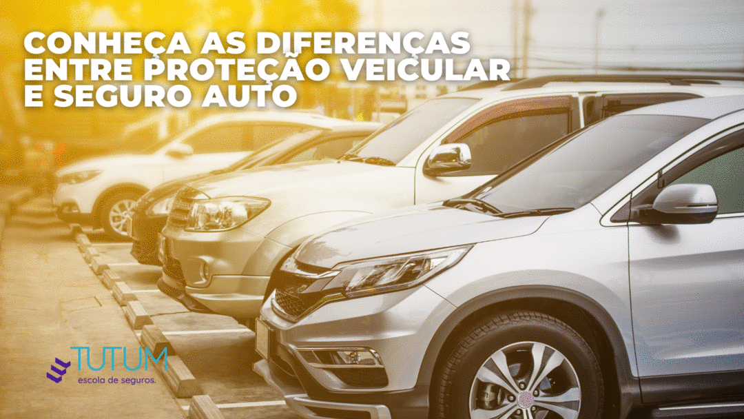 Conheça as diferenças entre proteção veicular e seguro auto